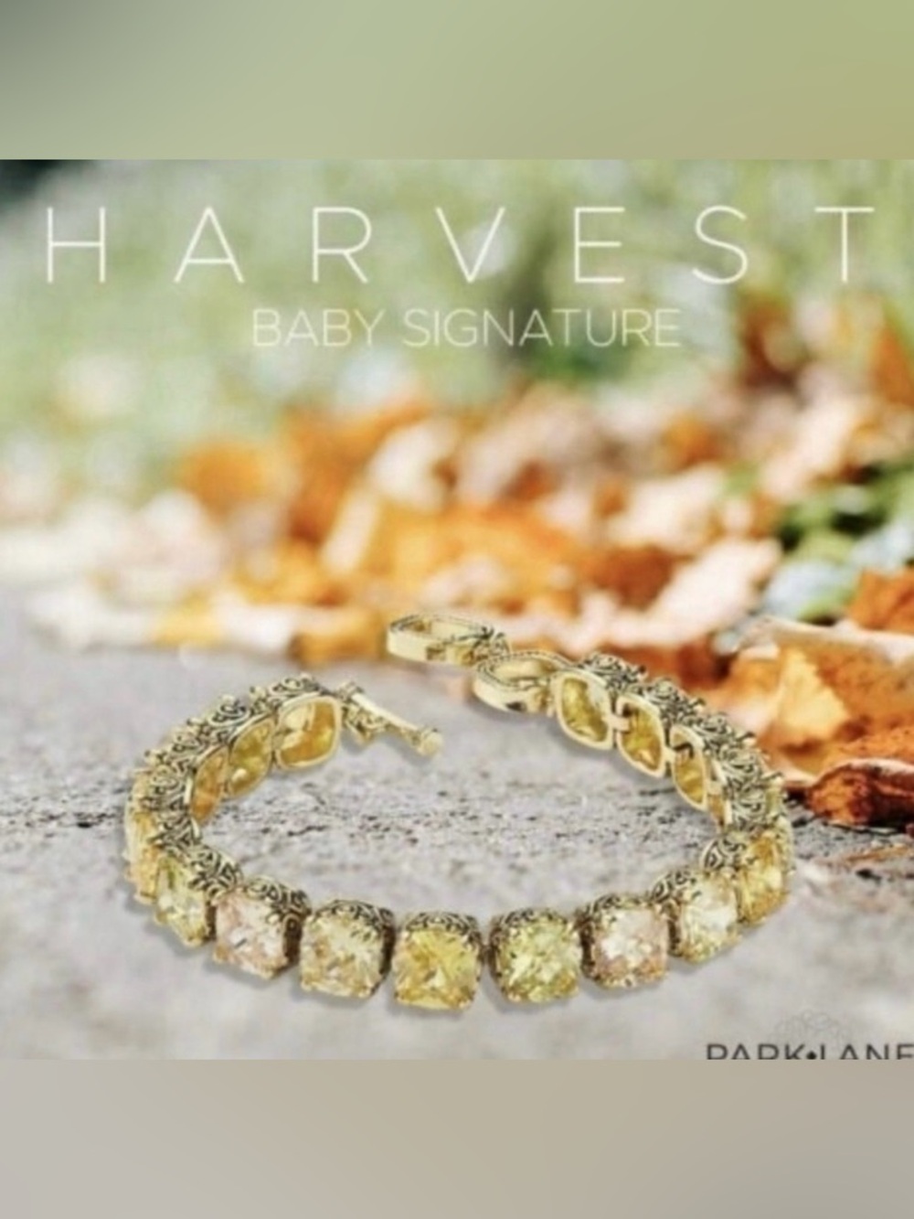 Park Lane Baby Signature Harvest Bracelet! Absolutely Stunning!!